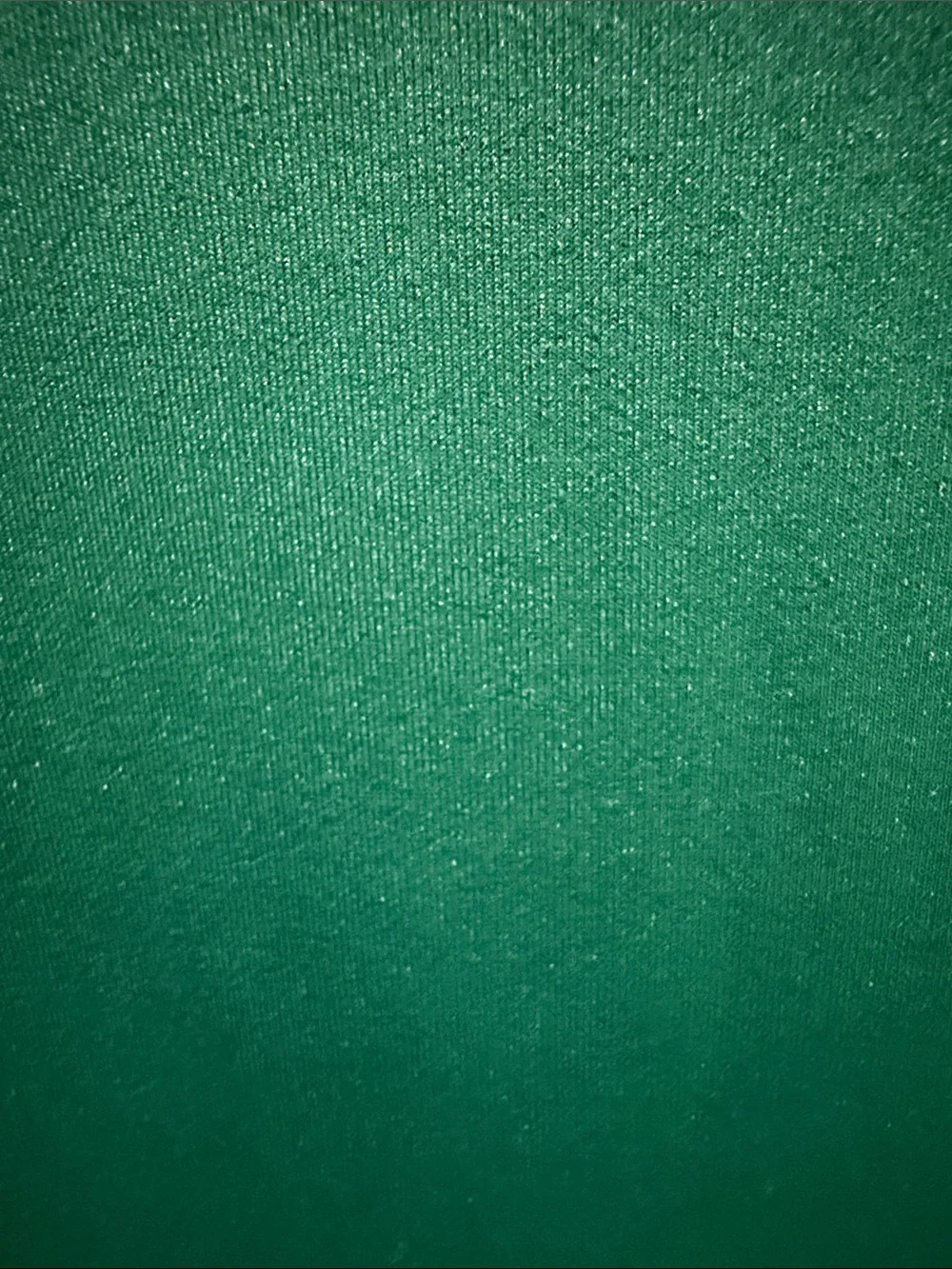 Polo by Ralph Lauren Green Short-Sleeve Polo with White Logo